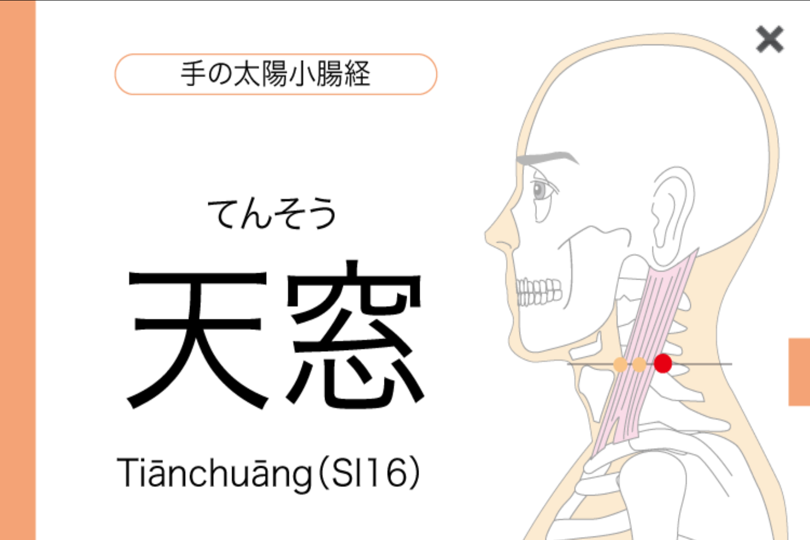 首こりの原因となる場所のイラスト