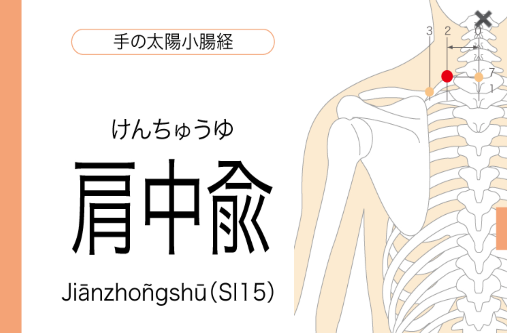 首こりの原因となる場所のイラスト